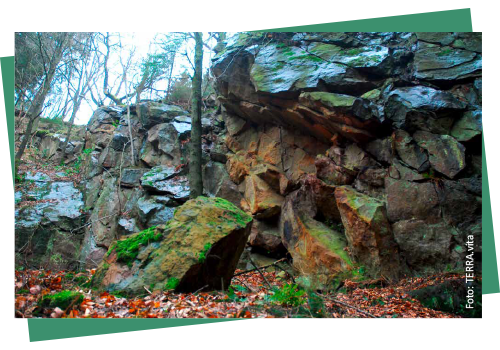 Bild_BWP-Ausblick-1