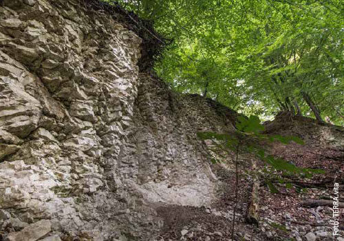 Bild_BWP-Ausblicke-10