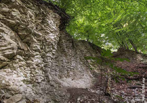 Bild_BWP-Ausblicke-10