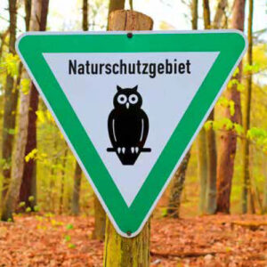 Bild_BWP-BedeutungWald-1