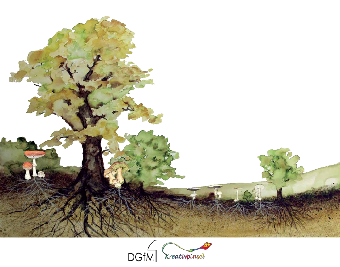 Bild_BWP-Pilze-2