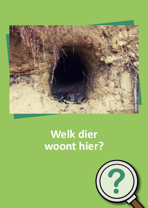 Bild_BWP-Saeugetiere-10