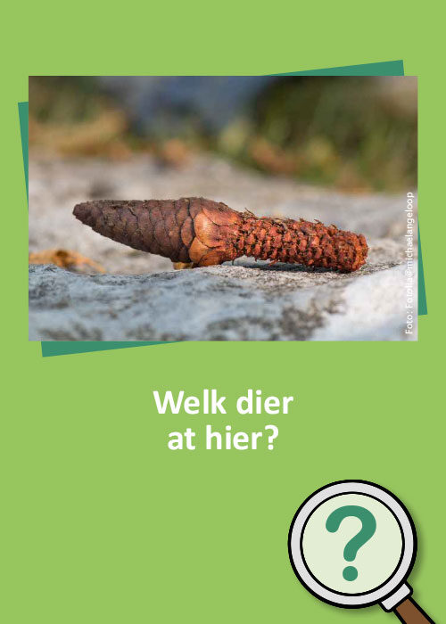 Bild_BWP-Saeugetiere-8