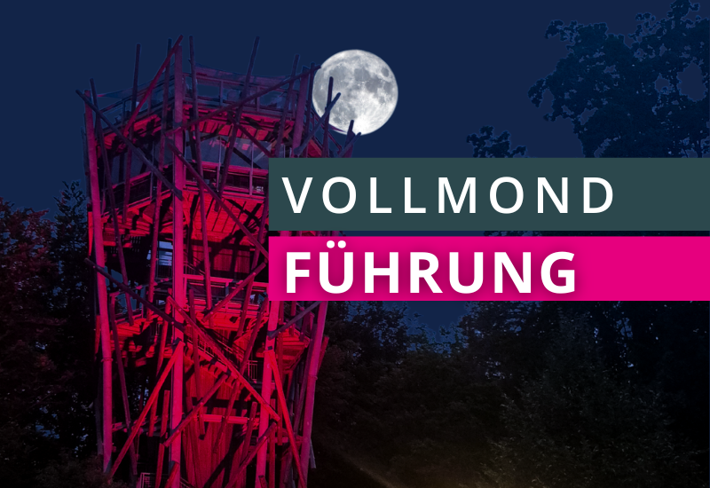 Vollmondführung